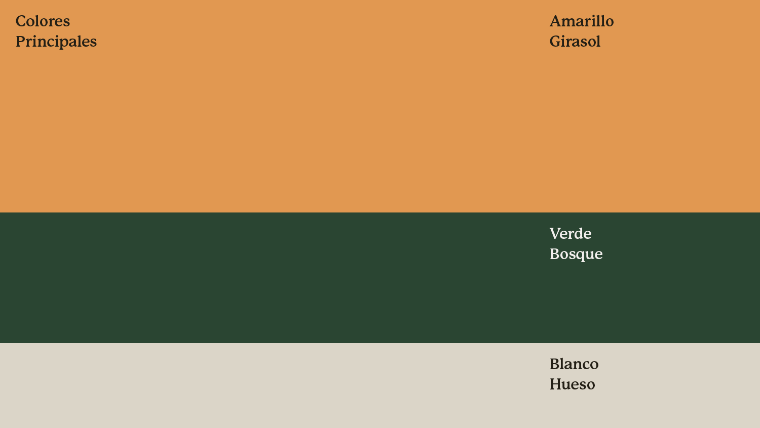 Briella_Main_Colors