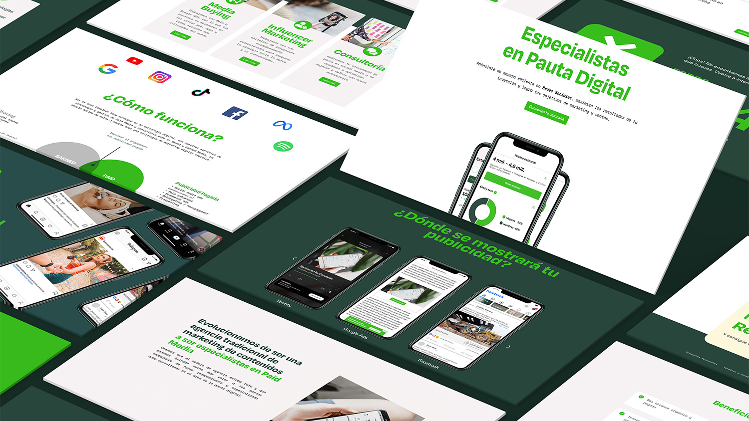 CAMALEON-WEB-DESIGN