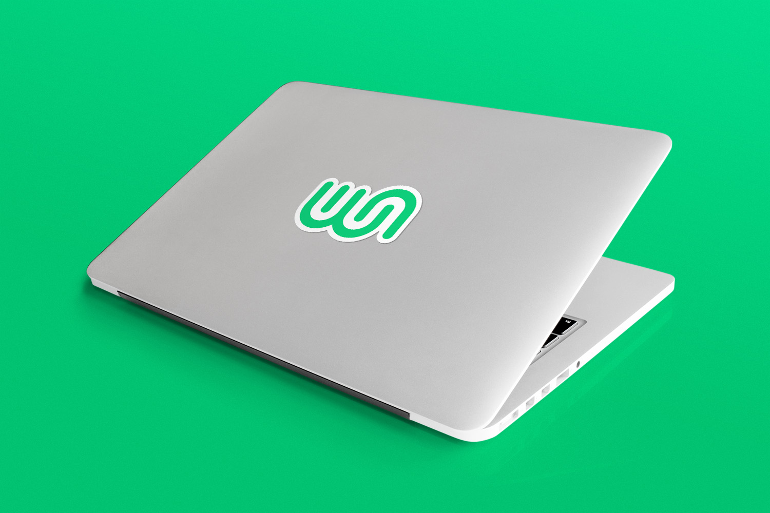 WS-LAPTOP-STICKER