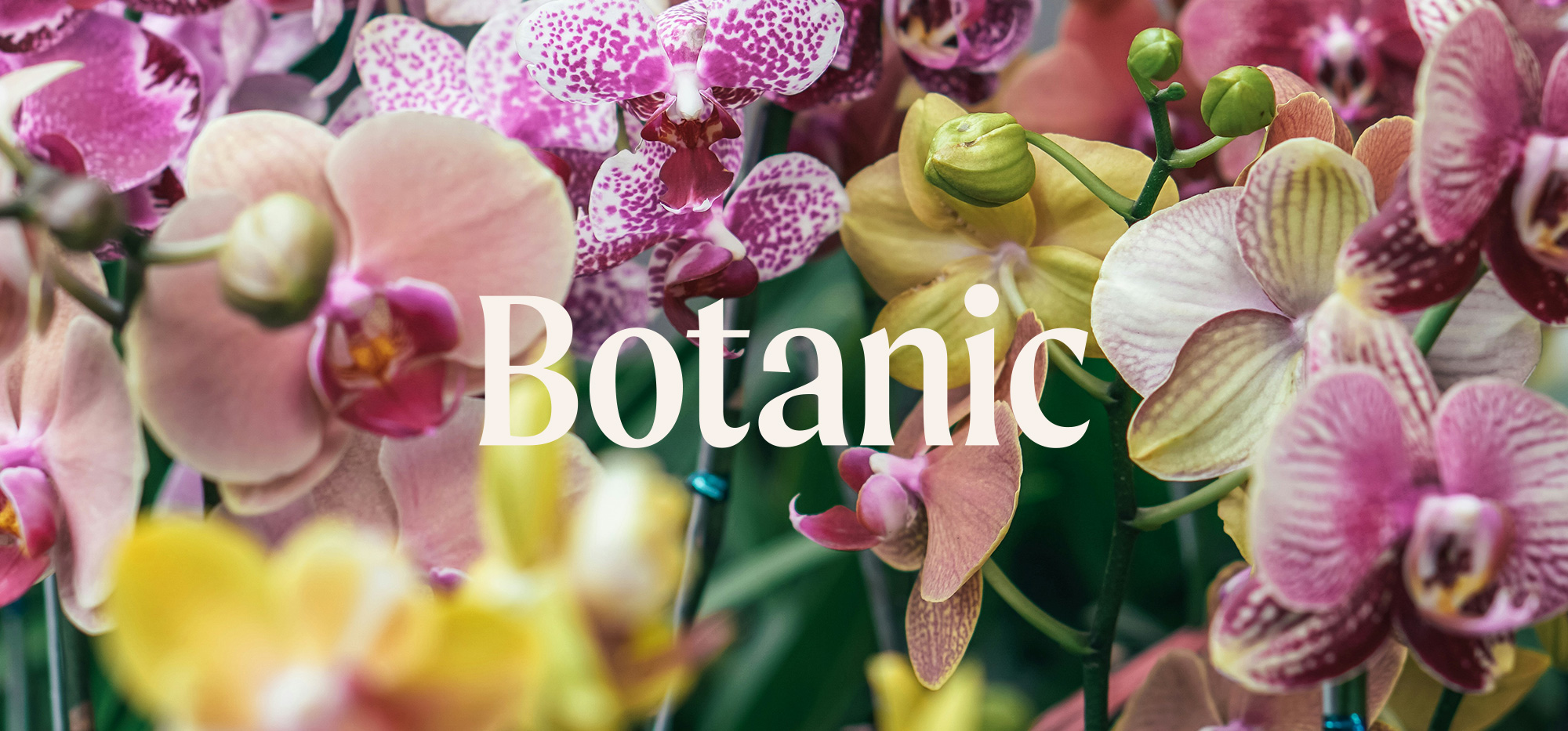 botanic-cover-mobile