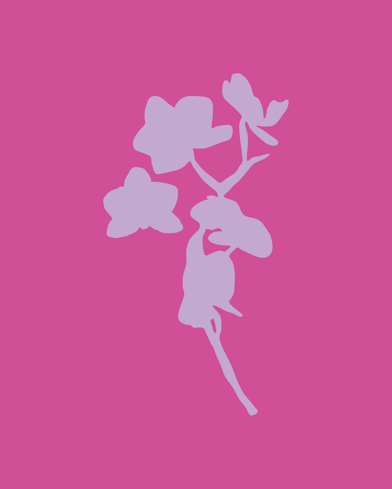botanic-illustrations