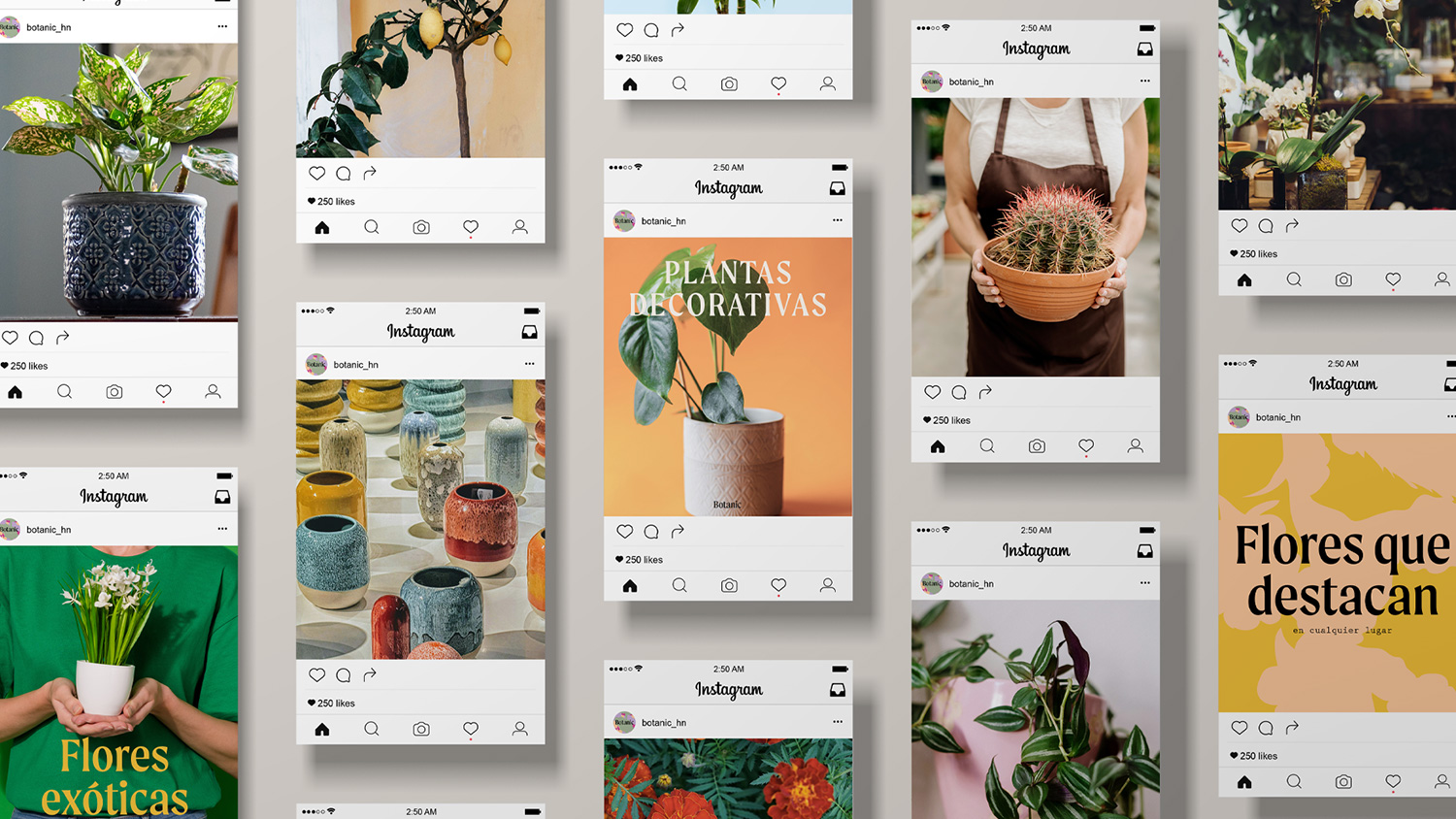 botanic-social-media