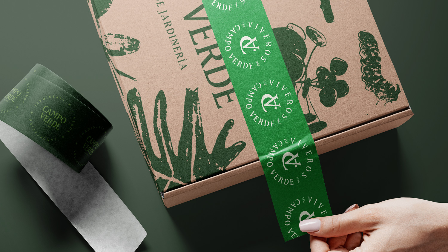 vcv-box