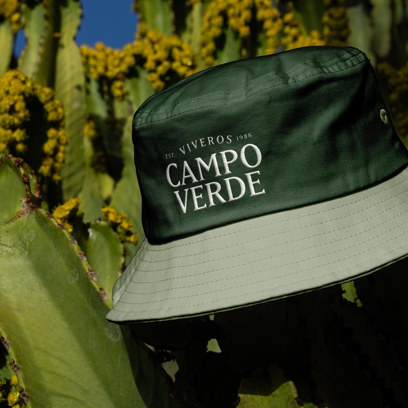 vcv-hat