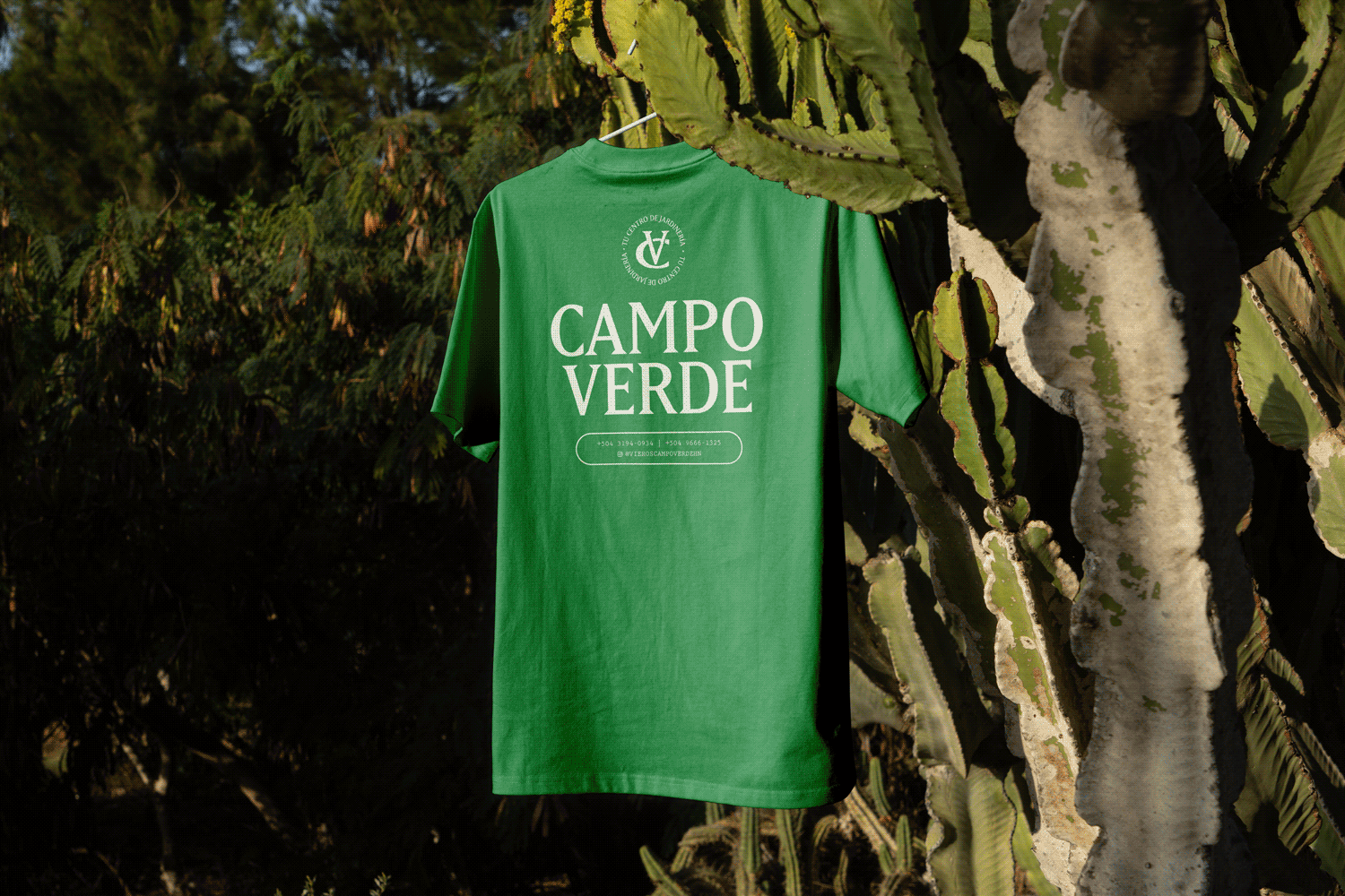 vcv-shirts