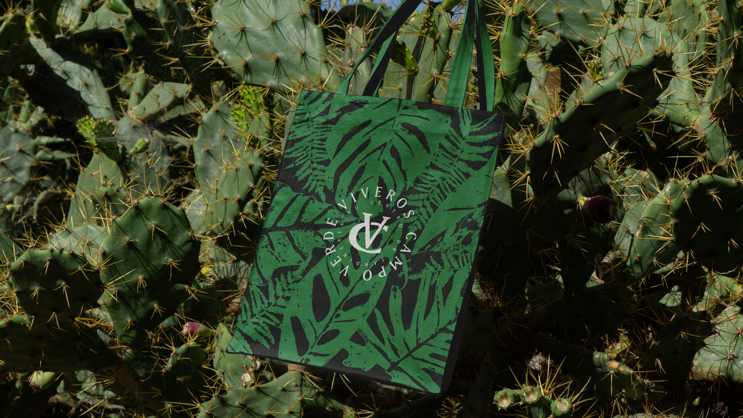 vcv-tote2